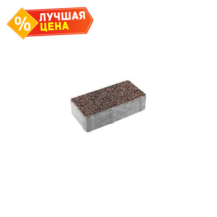 Плитка тротуарная Прямоугольник (Ла-Линия) А.2.П.4 Листопад гранит Клинкер 200x100x40 мм