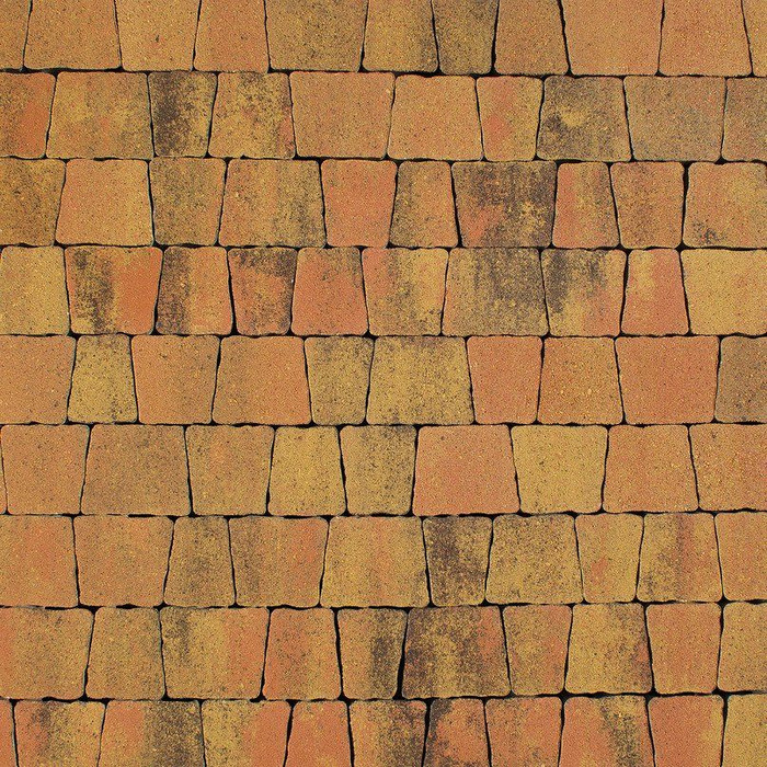 Тротуарная плитка Выбор Антик Б.3.А.6 60мм Саванна