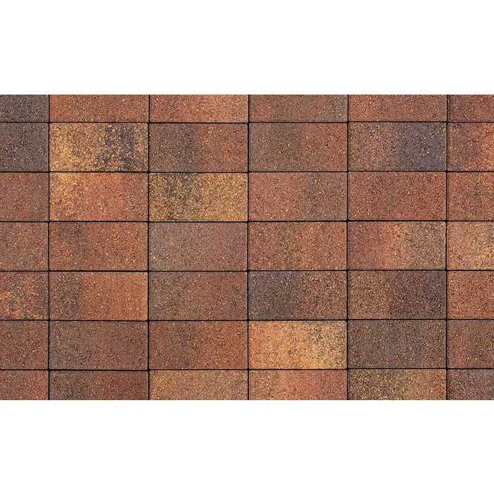 Плитка тротуарная Прямоугольник (Ла-Линия) Б.2.П.8 Листопад гранит Арабская ночь 200x100x80 мм